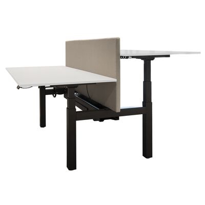Duo Workdesk