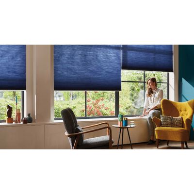 B0016 pleated blinds