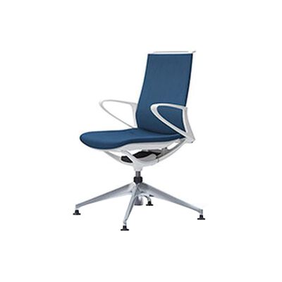 PLIMODE conference chair