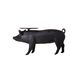 Pig Table S